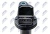 ECZ-TY-004_4-WM.JPG