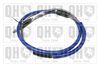 QH_BC4357.JPG