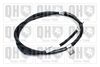 QH_BC3894.JPG