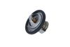 Termostats, Dzesēšanas šķidrums NRF NRF725061