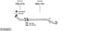 SYS28031.JPG