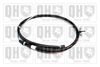 QH_BC3817.JPG