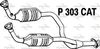 P303CAT.JPG