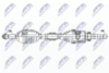 NPW-NS-148_9-WM.PNG
