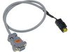 391785.JPG