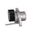 GATES Riemenspanner, Keilrippenriemen T39163 f&uuml;r 8200933753