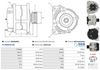 A0346(SEG)_256960.JPG