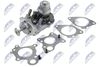EGR-BM-014_1-WM.JPG