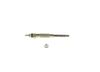 Diesel Glow Plug 0250202096