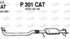 P301CAT.JPG