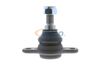162_V10-7038.ZIP