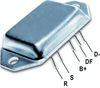 DDF_AMP0881_WR.JPG