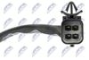ESW-PL-018_5-WM.JPG