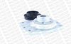 MK269R_2972090.JPG