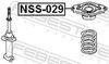 NSS-029_1.JPG