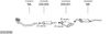 SYS18709.JPG