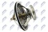CTM-BM-039_2-WM.JPG