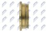 RKP-FT-009_3-WM.JPG