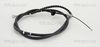 8140131319.JPG