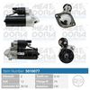 5010077.JPG