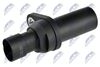 ECP-AR-005_2-WM.JPG