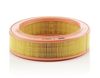 Повітряний фільтр MANN-FILTER C 2555/2
