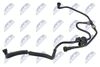 BPP-FR-005_1-WM.JPG