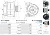A0641(SEG)_256960.JPG