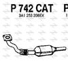 P742CAT.JPG