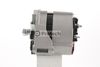 IR7844 (26).JPG