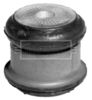 BEM3138_209997.JPG