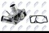 CTM-PL-001_2-WM.JPG