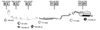 MA111675.BMP