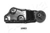 GOM-1003_1.JPG