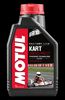MOTUL_110701_KART_GP_2T_1L_DE.JPG