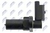 ECP-RE-013_3-WM.JPG