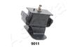 GOM-9011_1.JPG