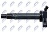 ECZ-TY-006_3-WM.JPG