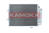 7800291_B.JPG
