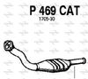 P469CAT.JPG