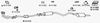 OPEL441D.BMP