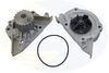 EWP330_636778.JPG