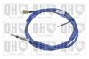 QH_BC3645.JPG