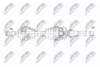NPW-CT-152_9-WM.PNG