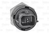 SENSOR_OIL_PRESSURE_255102_03.JPG