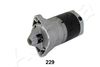 003-T229_1.JPG