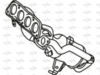 P8427CAT_1.PNG
