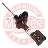 313360-PCS-MS.JPG