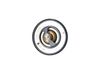 Termostat, chladivo 725174