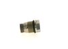 Bosch Pressure Relief Valve, common rail system 1 110 010 012